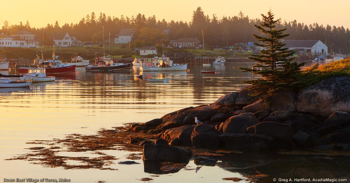 Creator: Greg A. Hartford  Copyright: Copyright Greg A. Hartford, AcadiaMagic.com