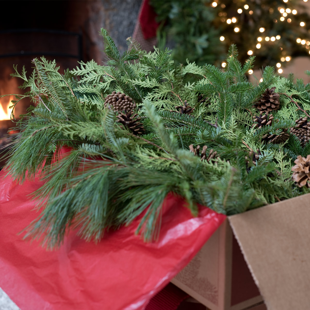 Big Box of Greens