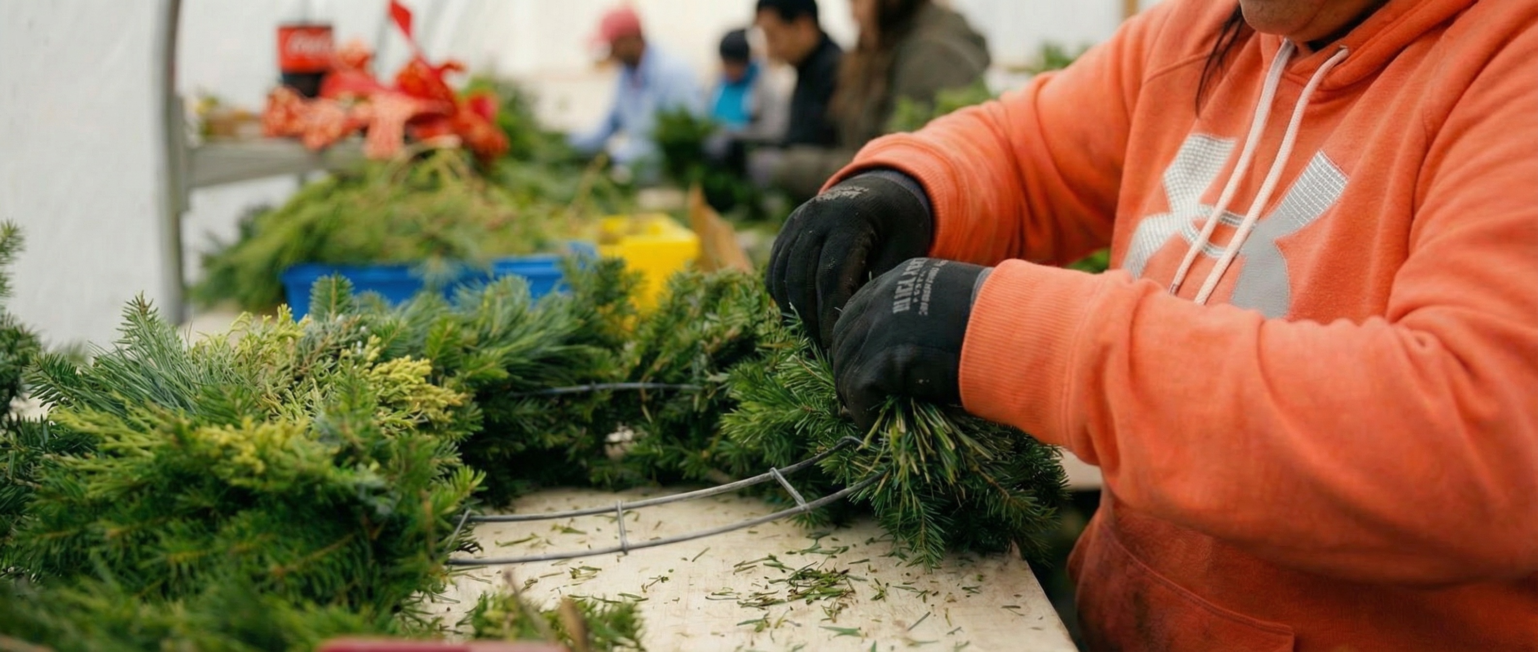 Close up of wreath-maker hands crafting a fresh balsam wreath for harbor farm.